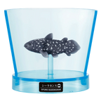 Aquarium Sea Creature Bath Bomb
