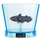 Aquarium Sea Creature Bath Bomb